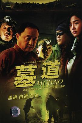 墓道第14集