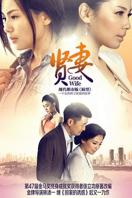 贤妻2013第26集