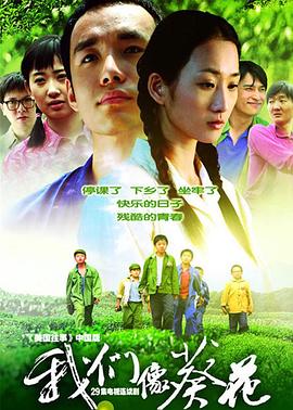 我们像葵花第28集