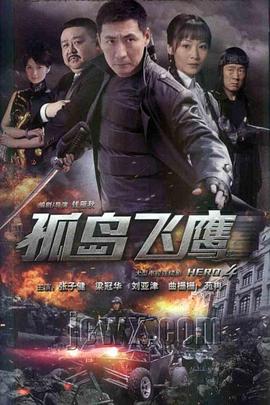 孤岛飞鹰第12集