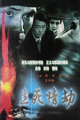 生死情劫第19集