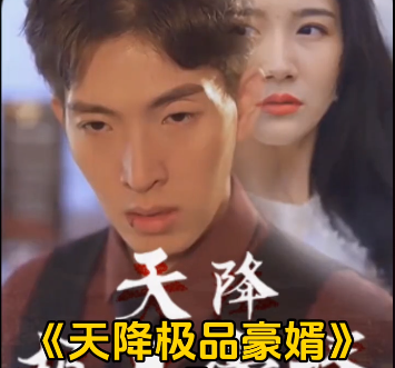 天降极品豪婿第59集