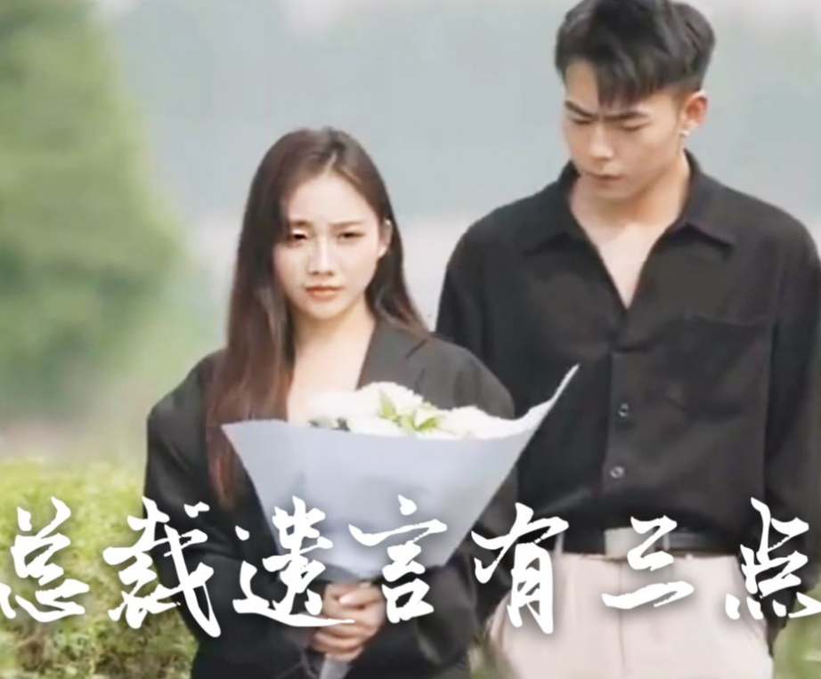 总裁遗言有3点第14集
