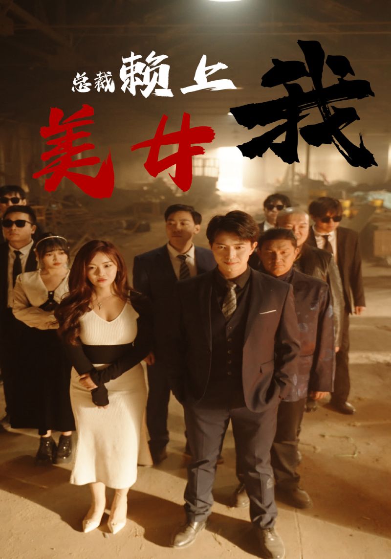 美女总裁赖上我第12集