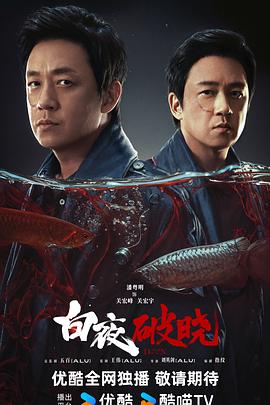 白夜破晓第19集
