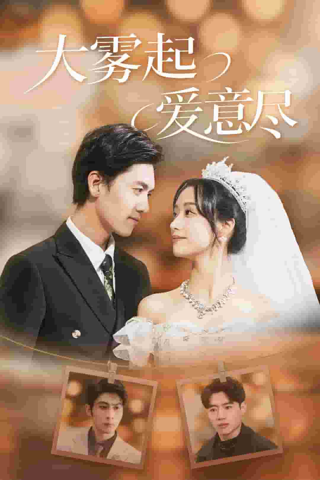 大雾起爱意尽第29集