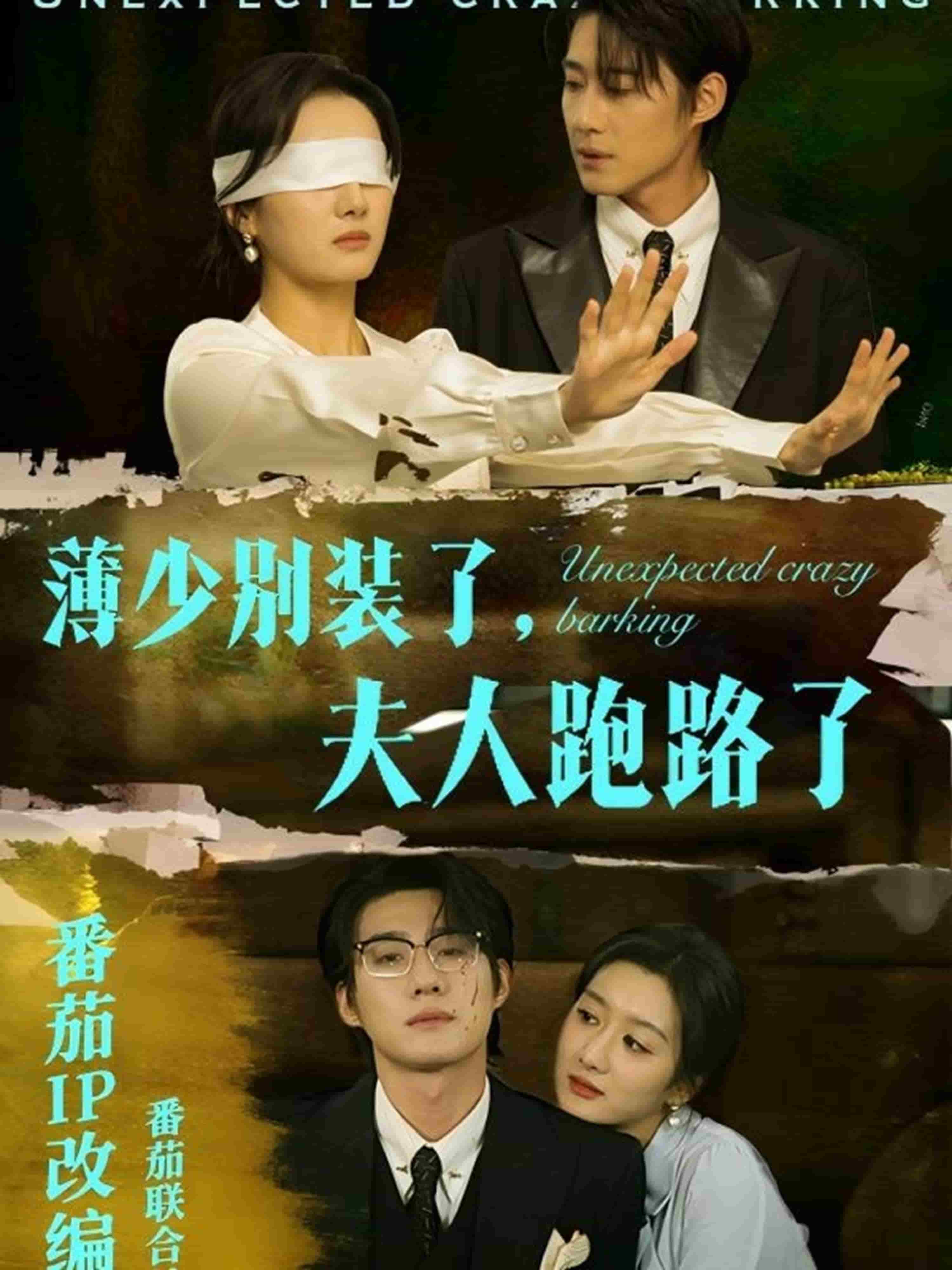 薄少别装了夫人跑路了第28集