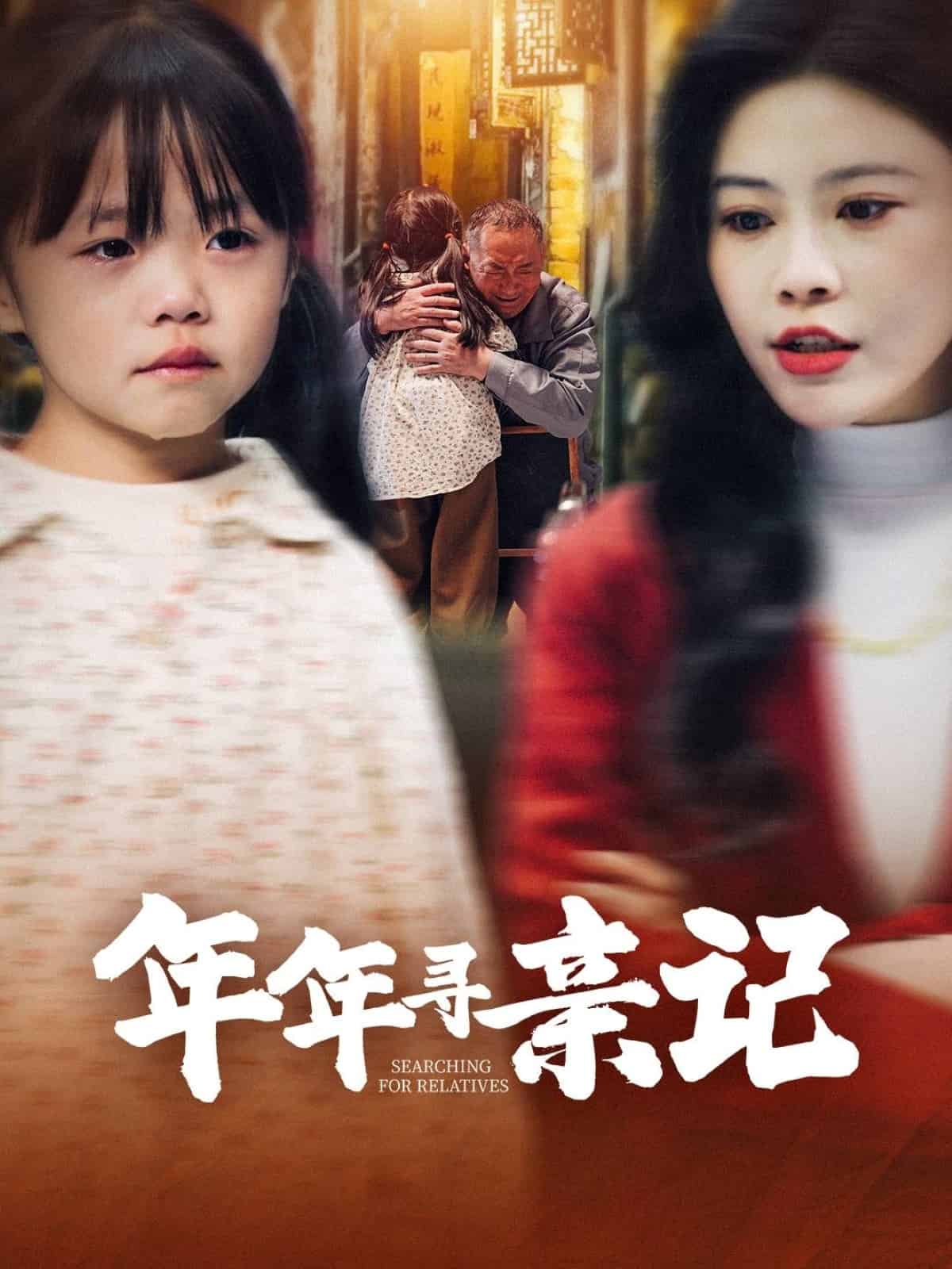 年年寻亲记第9集