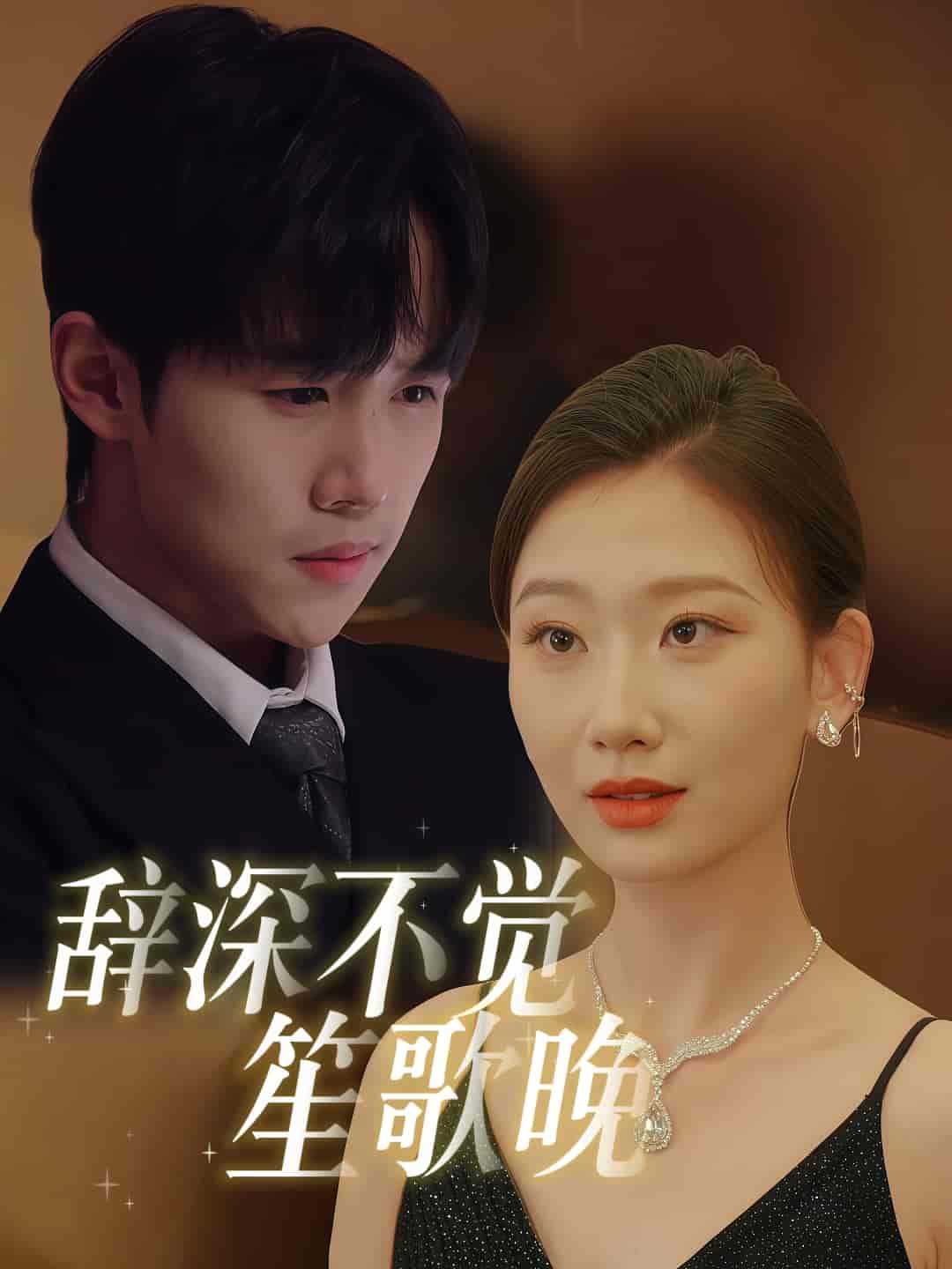 辞深不觉笙歌晚第2集