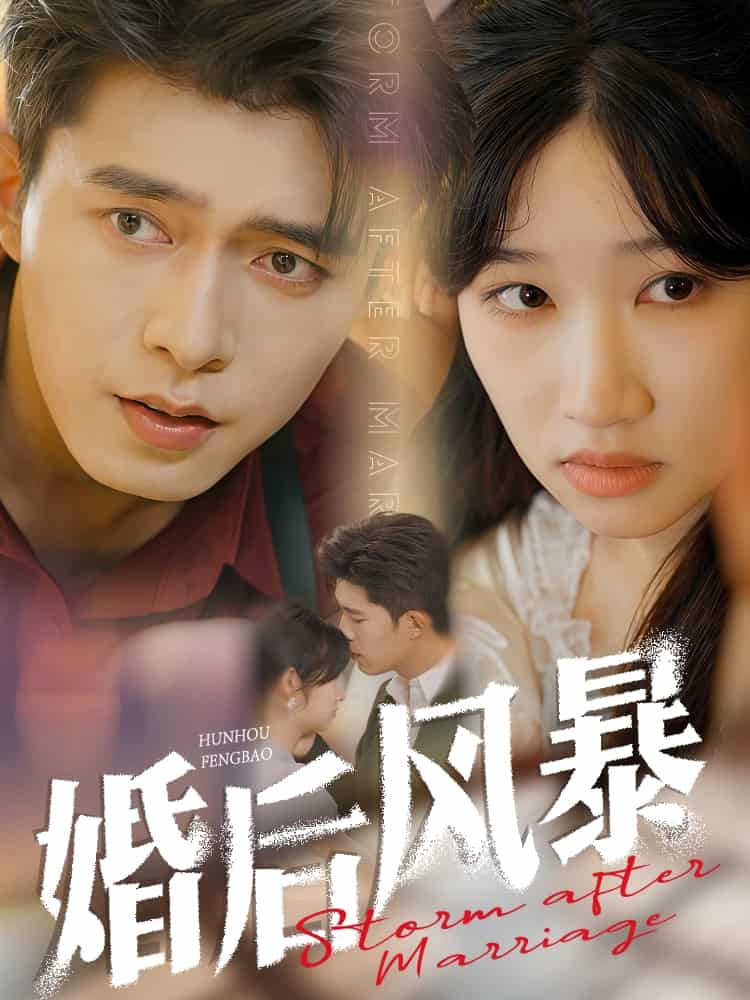 婚后风暴第12集