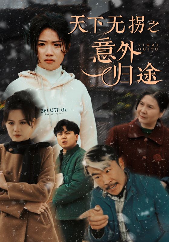 天下无拐之意外归途第30集