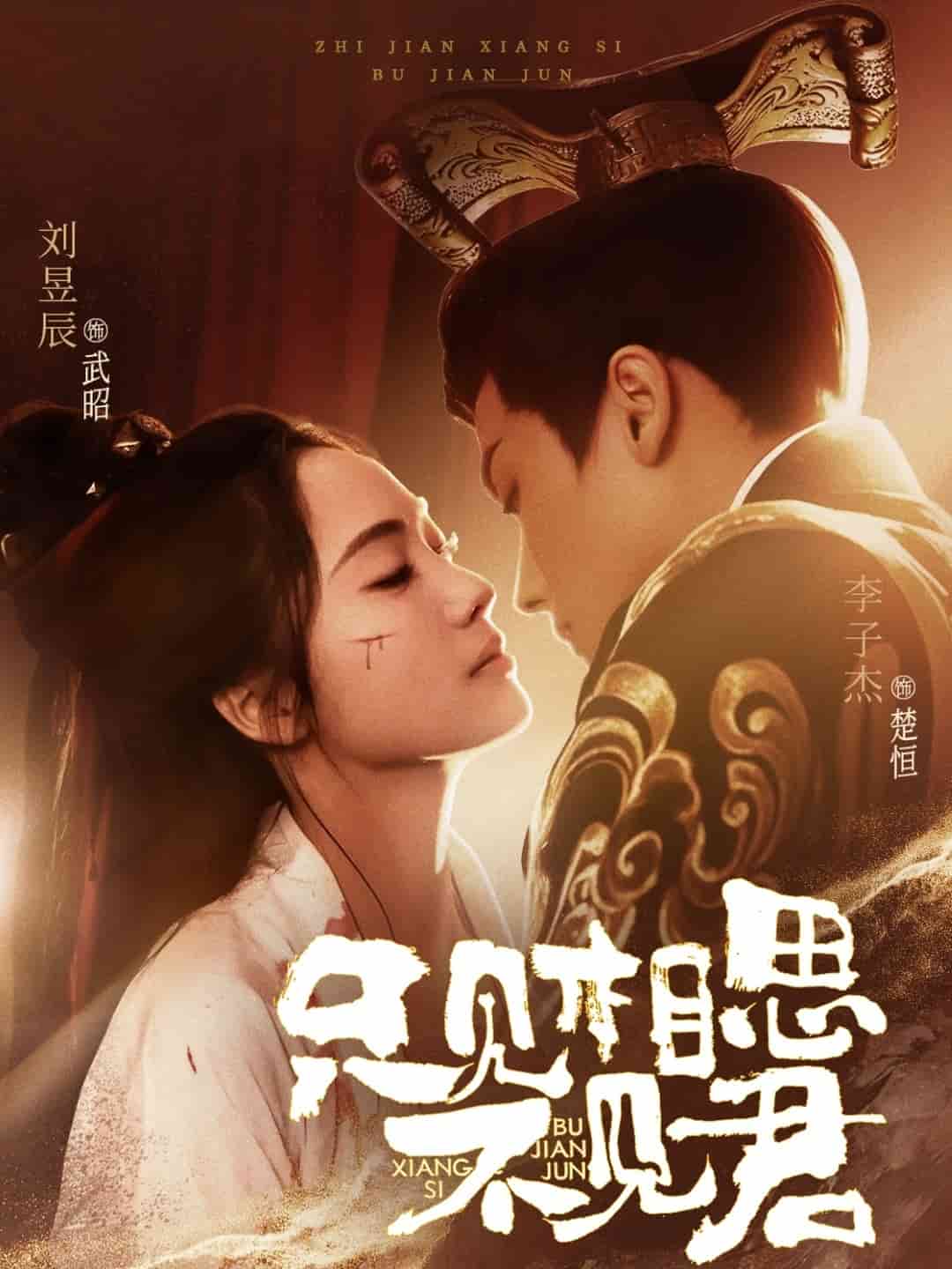 只见相思不见君第41集