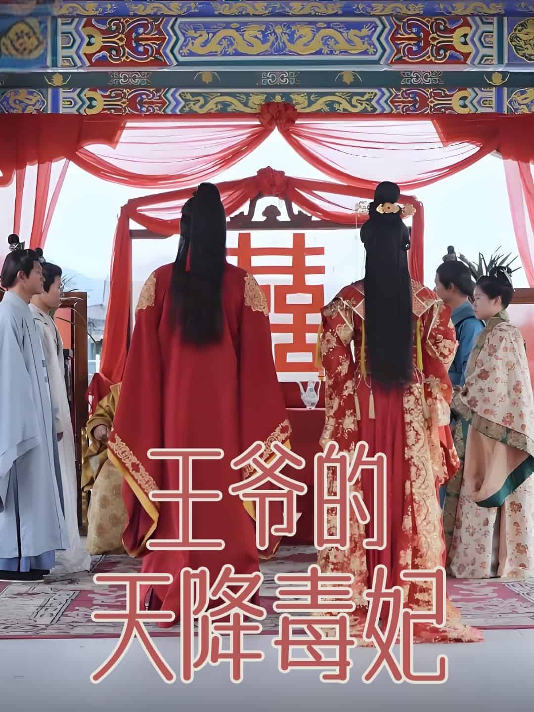 王爷的天降毒妃第10集
