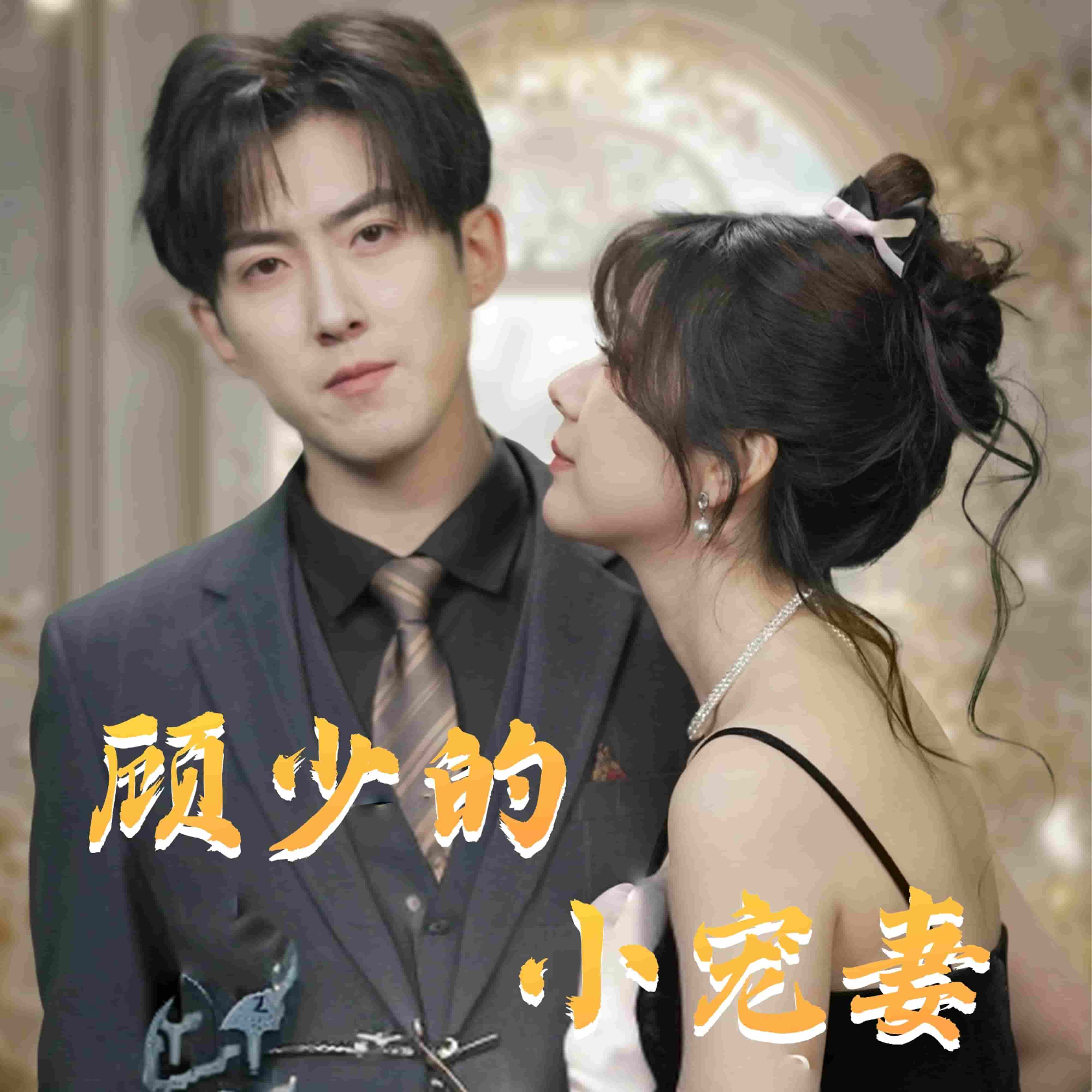 顾少的小宠妻第88集