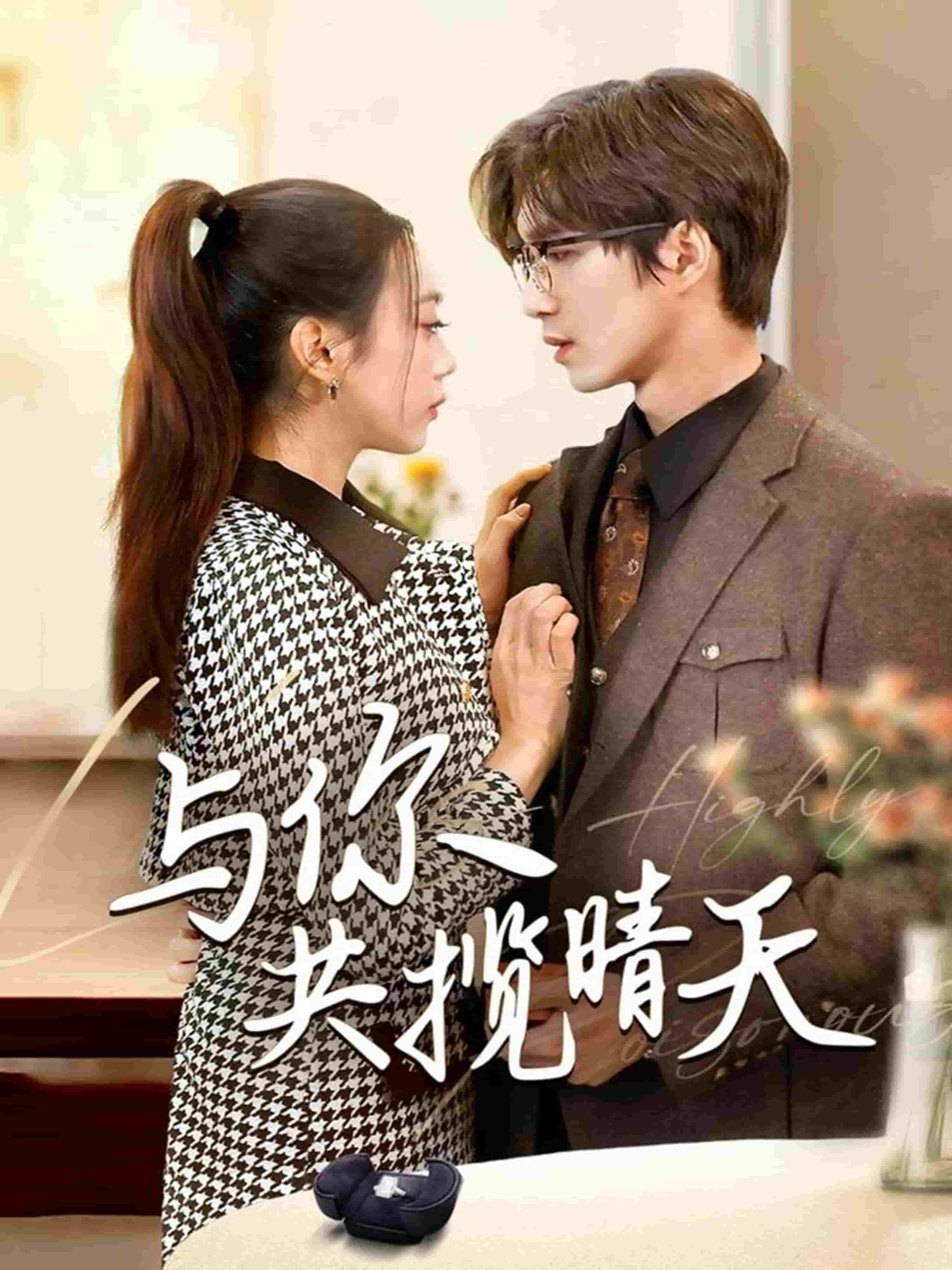 与你共揽晴天第35集