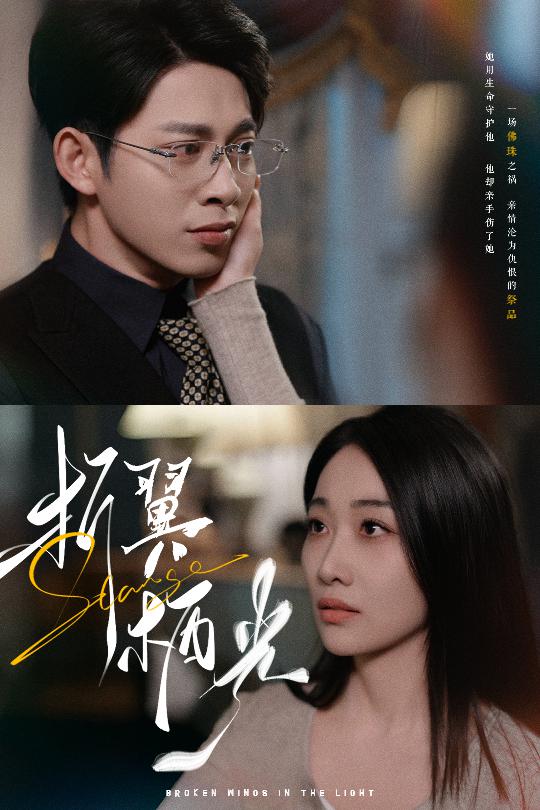 折翼栖光第18集