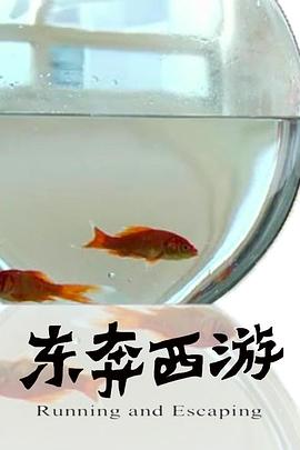 11度青春之