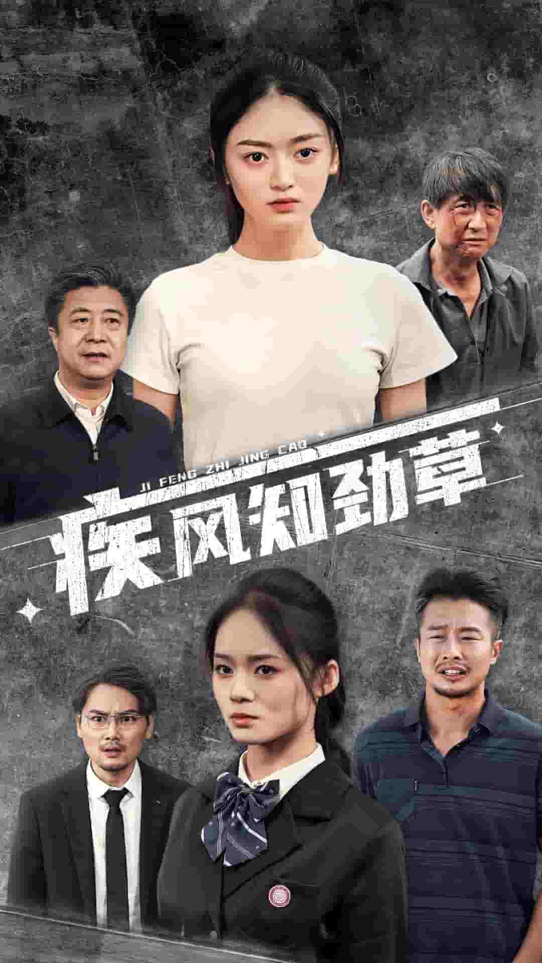 疾风知劲草第23集