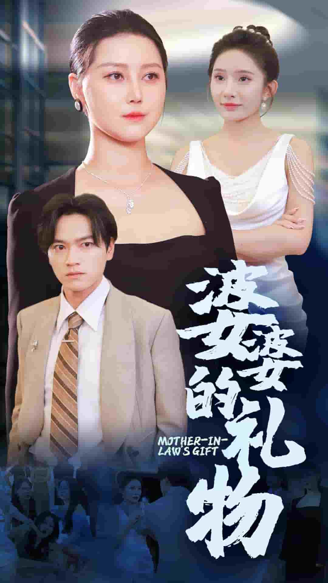 婆婆的礼物第29集